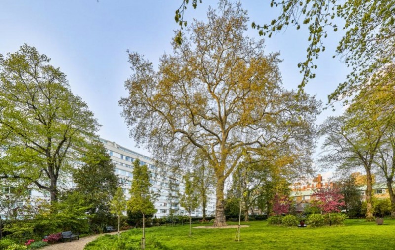 Images for Sussex Square, London, W2 2SR EAID:5678 BID:5678